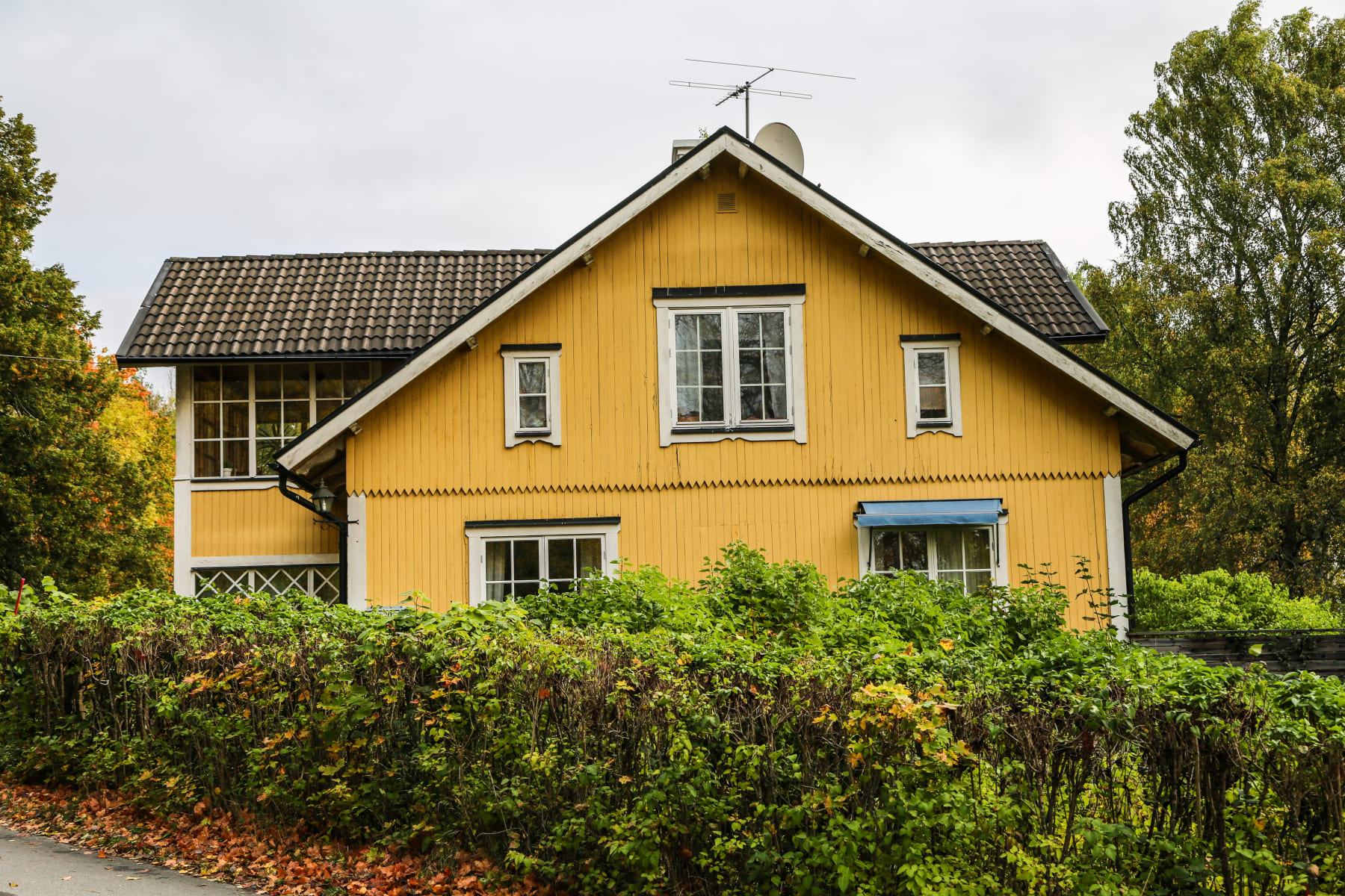 Takläggning och takundersökning av äldre hustak i Stockholm